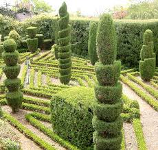 Jardim botânico da madeira ) ist ein botanischer garten in funchal , madeira , der 1960 der öffentlichkeit zugänglich gemacht wurde. Datei Madeira Botanischer Garten Oberhalb Funchal 5 2007 Jpg Wikipedia