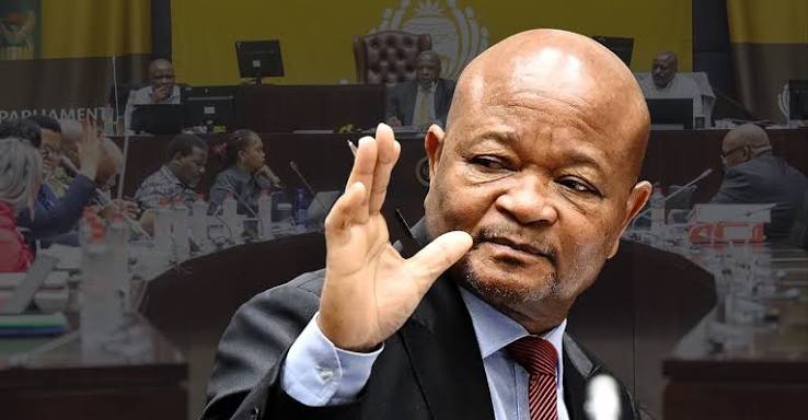 Questions Mchunu will have to answer at Parliament's Mkhwanazi inquiry