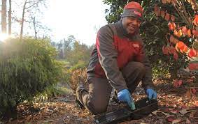 Pest control can be accessed in a few different ways on osrs. High Point Nc Exterminator Extermination Service By Go Forth
