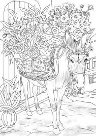 This adult coloring book of whale designs contains a wide variety of designs. Pin On Kleurplaten