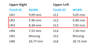 The Size And Shape Of Your Teeth Manhattan Bridge Orthodontics