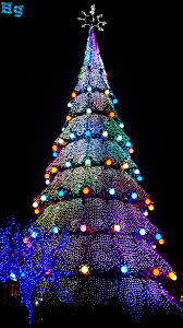 Xmas Tree In Kharkov Cool Christmas Trees Big Christmas Tree Christmas Tree Wallpaper