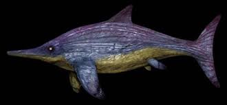 Image result for ichthyosaurs