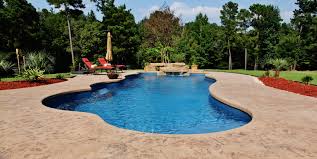 Pin By Dolphin Pools On Dream Pool Leisure Pools Backyard Inground Pool Designs