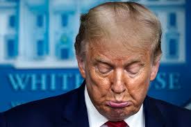 Once upon a time in America... when the Constitution brought down Donald  Trump