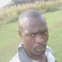 10+ "Thomas Gori" profiles