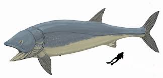 This method of feeding requires very littler effort other than opening the mouth and cruising near the surface of the water. Leedsichthys Prehistoric Life Wiki Fandom