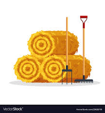 Bale Of Hay Isolated On White Background Flat Dried Haystack With Forks And Rake Farming Haymow Bale Hayloft Agricultur White Background Vector Illustration
