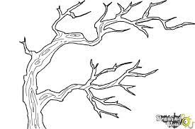 How can i draw tree with leaves? How To Draw Tree Branches Drawingnow