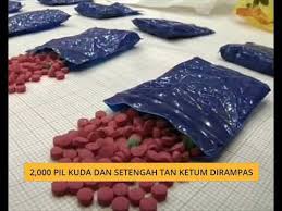 Pil biru atau viagra adalah obat yang bisa digunakan untuk mengatasi disfungsi ereksi. 2 000 Pil Kuda Dan Setengah Tan Ketum Dirampas Youtube