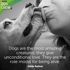 Pin By Lovetta Culver On My Favorite Things Dog Lover Quotes Animal Lover Quotes Dog Love