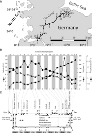 This calculation scheme is applicable for merchant vessels only. Surveying Seaweeds From The Ulvales And Fucales In The World S Most Frequently Used Artificial Waterway The Kiel Canal