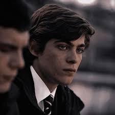 T.N. || Platonic Loves