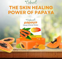 Amazon.com: Erbaid Papaya Soap Face & Body Wash – Skin ...