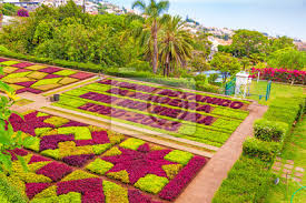 Wartete madeira auf die eröffnung eines botanischen gartens, ein traum, der sich 1960 erfüllte. Botanischer Garten Funchal Madeira Fototapete Fototapeten Blutenblatter Azalee Portugiesisch Myloview De
