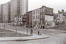 Image result for Brown 1980 Evans Coach Lines