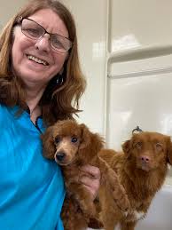 This is a who wore it better post… talking about that strawberry blonde.