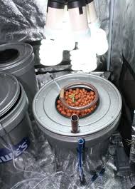 Check spelling or type a new query. Diy Project Cfl Grow Light