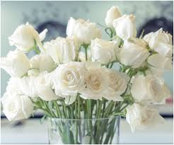 Seeing a bouquet of yellow flowers in your dream. Spiritual Meaning Of White Roses Dream Interpretation Insight State