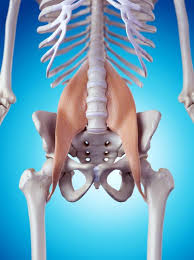 A total hip replacement, also called total hip arthroplasty, is a procedure in which a surgeon removes your hip joint and replaces it with a prosthetic joint. Unlock Your Hip Flexors