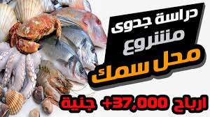 دراسة جدوى مشروع محل سمك مشوي ومقلي في مصر Fish Project Youtube
