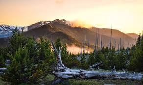 Campgrounds located inside olympic national park in washington. Here Is The Best Camping In Olympic National Park