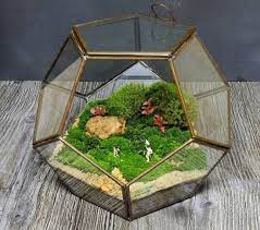 See more ideas about moss garden, moss, garden. 11 Diy Indoor Moss Garden Ideas Growing A Moss Garden
