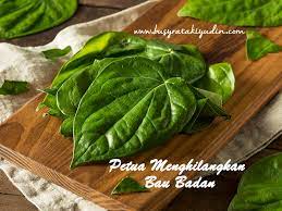 Anda sudah memcuba pelbagai produk dan minyak wangi di pasaran untuk menghilangkan bau badan anda, namun masih berbau lagi. 5 Petua Berkesan Menghilangkan Bau Badan