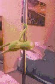 Share a gif and browse these related gif searches. Kermit Dance Gifs Tenor