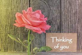 Thinking of you flowers message. 249 Thinking You Rose Photos Free Royalty Free Stock Photos From Dreamstime