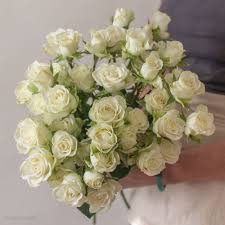 Here's a bouquet perfect for a late spring or early summer wedding. 95 Standard Roses Ideas In 2021 Diy Wedding Flowers Standard Roses Wedding Flowers