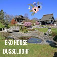 Eko Haus Der Japanischen Kultur E V Dusseldorf Bewertungen Und Fotos
