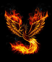 Related Image Phoenix Bird Tattoos Phoenix Tattoo Phoenix Bird Images
