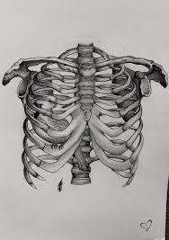 There S A Bird Inside Your Rib Cage Bird Drawings Art Sketches Ribcage Tattoo