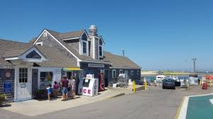 Check spelling or type a new query. Seal Watching Review Of Chatham Pier And Fish Market Chatham Ma Tripadvisor