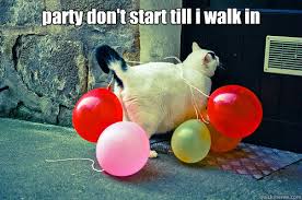 Party Don T Start Till I Walk In Party Cat Quickmeme