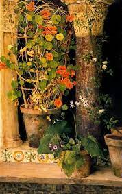 Pin By Anthoskos On Still Life Nasturtium Flower Painting Flowers