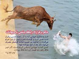 حکم رابطه جنسی با حیوانات 