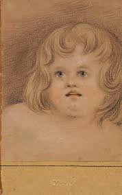 Newfields Collection