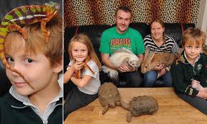 Wondering why you loved turning your pet into a video star: Jamie And Michelle Mintram Share Home With Their Two Children And 145 Exotic Pets Daily Mail Online