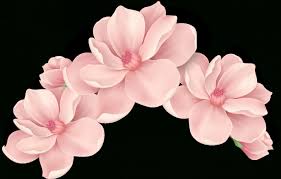 12 Flower Crown Pastel Png Stiker Emoji cherry blossom flower cherries blossom emoticon sticker cherry blossom front iphone transparent blossom petal pink plant wildflower rosa rubiginosa perennial plant. 12 flower crown pastel png stiker