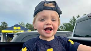 Fundraiser for Lauren Marsh by Rebecca McCormick : Emmett's fight against  LCH!