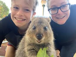 Just a picture of a quokka to brighten your day! IG/@cruzysuzy photographed  this little cutie at Rottnest Island in Western Australia.