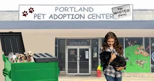 Shop our wide selection of pet food, toys, treats & more at petsmart®! Portland Pet Adoption Centers Demand Citizens Exchange White Pets For More Inclusive Black Pets