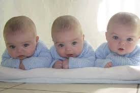 world s largest professional network fotos de bebes gemeos criancas fofas fotos de bebes world s largest professional network