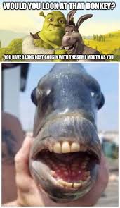 Shrek 5 Needs Donkey S Cousin In The Movie Memes