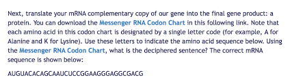 solved next translate your mrna complementary copy of ou