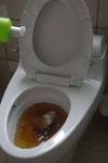 How to Unclog a Toilet Like a Plumber The Art of Manliness