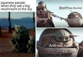 It's officially the baby yoda show! Baby Yoda Memes Just Might Be The Best Of The Year 66 Images Funny Gallery