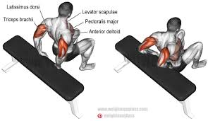 Pin On Sport And Exercise